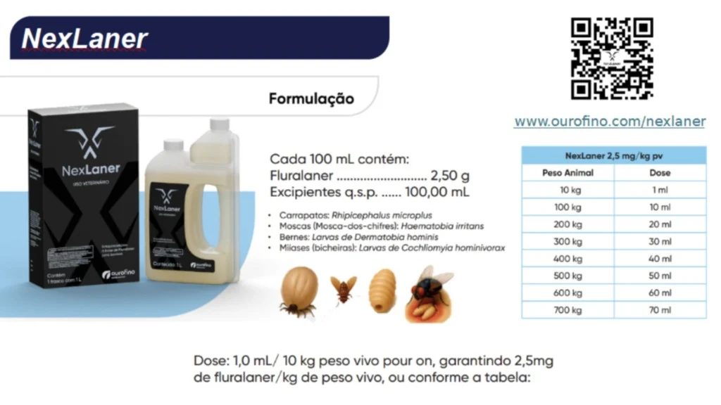 Nova solução contra carrapatos bovinos promete eliminar o parasita em até 72 horas