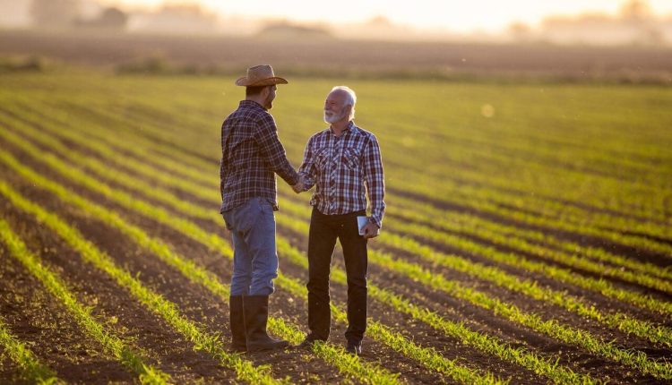 Como negociar e vender com eficiência na cadeia agropecuária