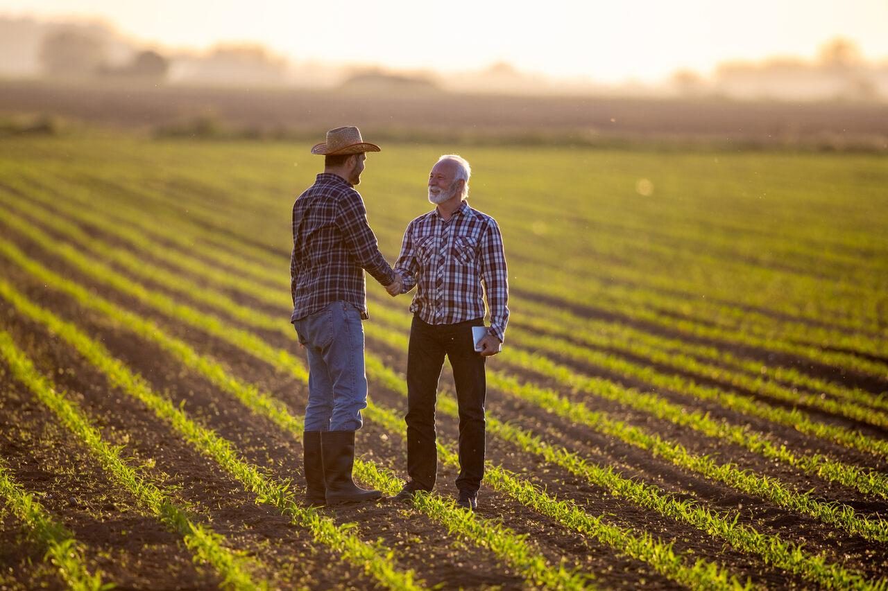 Como negociar e vender com eficiência na cadeia agropecuária