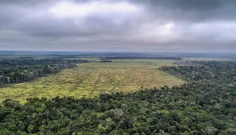 Parlamentar quer exclusão de Mato Grosso do território da Amazônia Legal