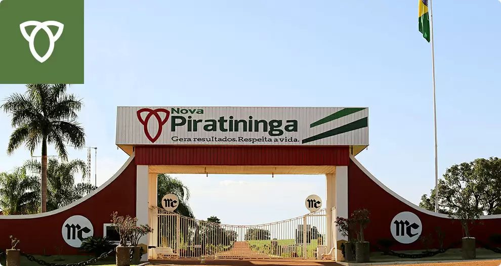 Como funciona o transporte na maior fazenda de ciclo completo do Brasil