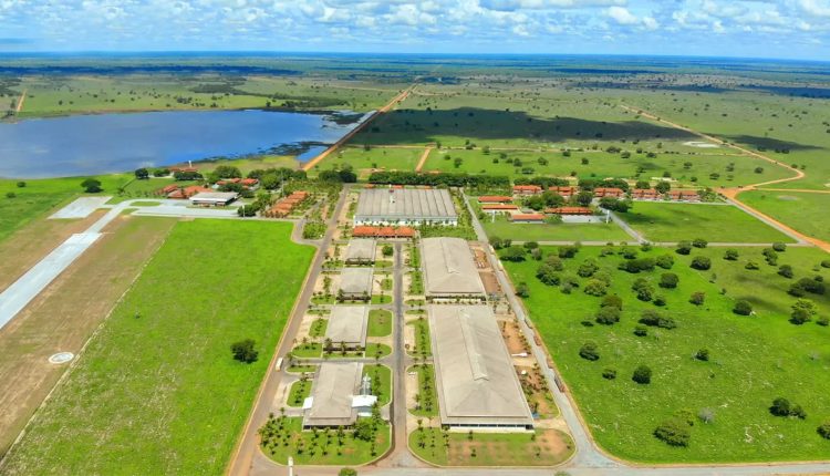 Como funciona o transporte na maior fazenda de ciclo completo do Brasil
