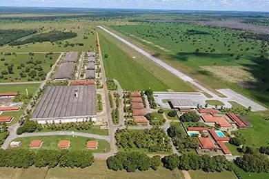 Como funciona o transporte na maior fazenda de ciclo completo do Brasil