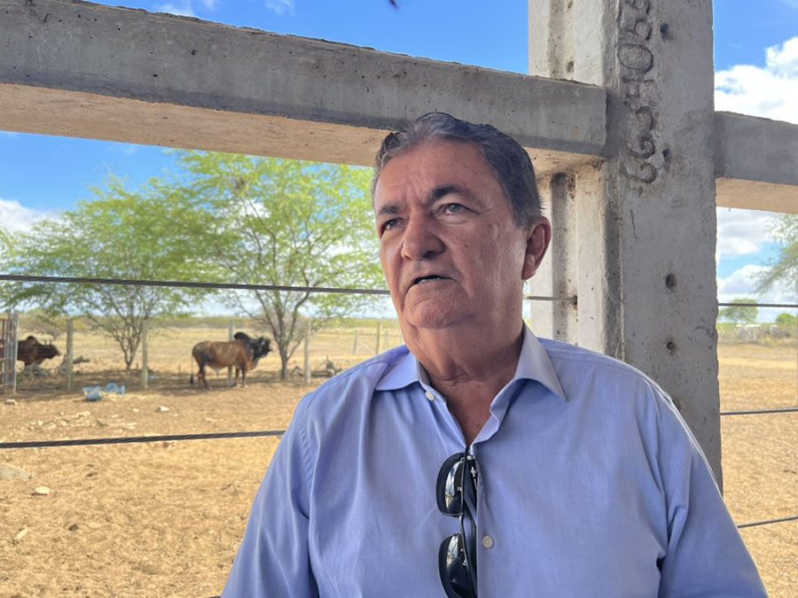 Gado Sindi, raça resistente ao calor, é reconhecido como um dos mais puros do país