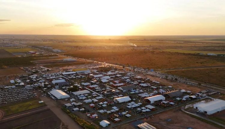 Novos expositores apostam em bons negócios na BahiaFarm Show 2025