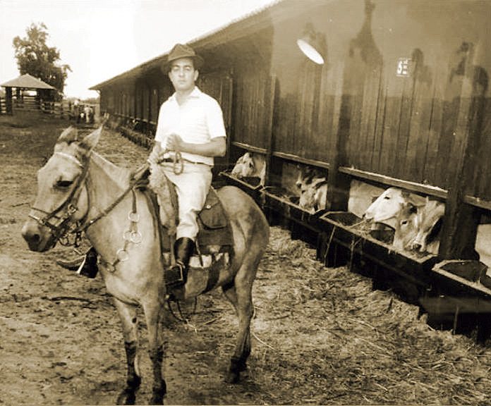 primeiro confinamento de bovinos do Brasil