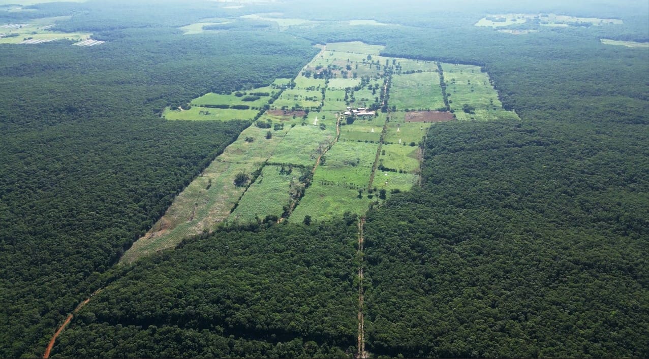 Gigante coloca uma das maiores fazendas leiteiras à venda e atrai investidores globais