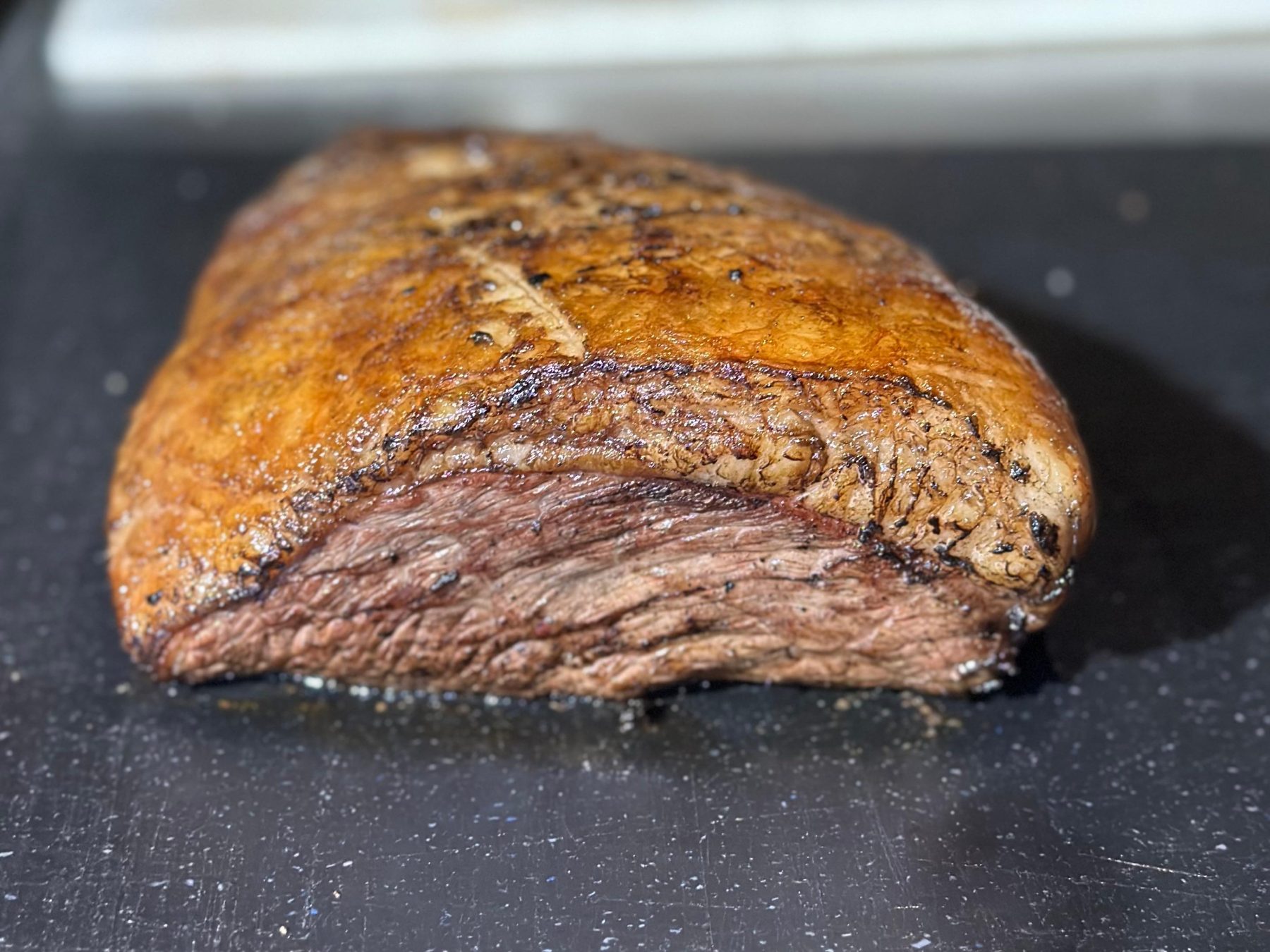 Brangus apresenta Congresso Mundial na Feicorte 2025 e destaca uso da raça em diferentes biomas