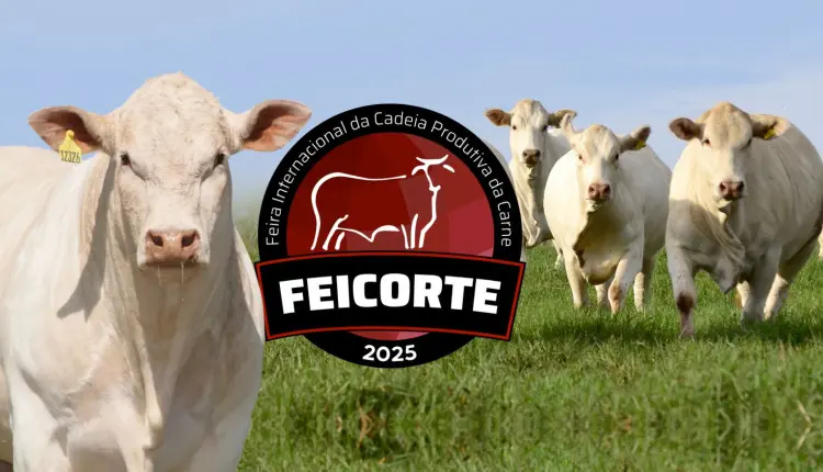 raca canchim marca presenca durante a feicorte 3