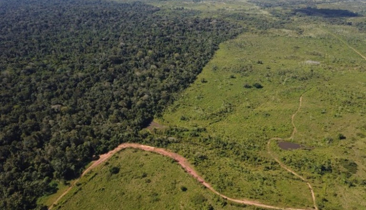 Governo assina acordo para acelerar regularização fundiária de 1,9 milhão de hectares