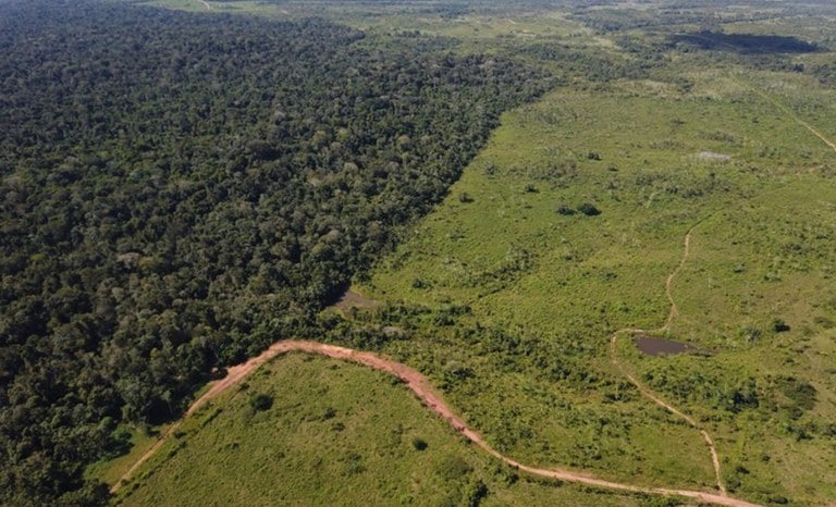 Governo assina acordo para acelerar regularização fundiária de 1,9 milhão de hectares