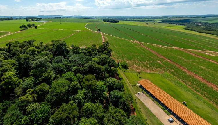 Evento em Santa Rita do Passa Quatro destaca práticas sustentáveis na integração lavoura-pecuária