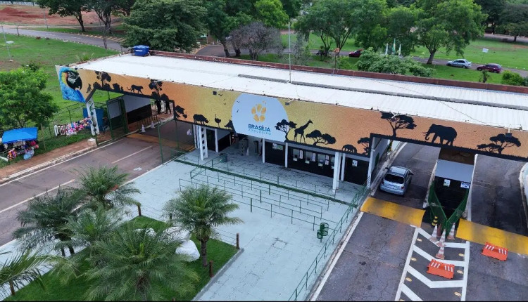 Caso de gripe aviária é confirmado em ave no Zoológico de Brasíliav