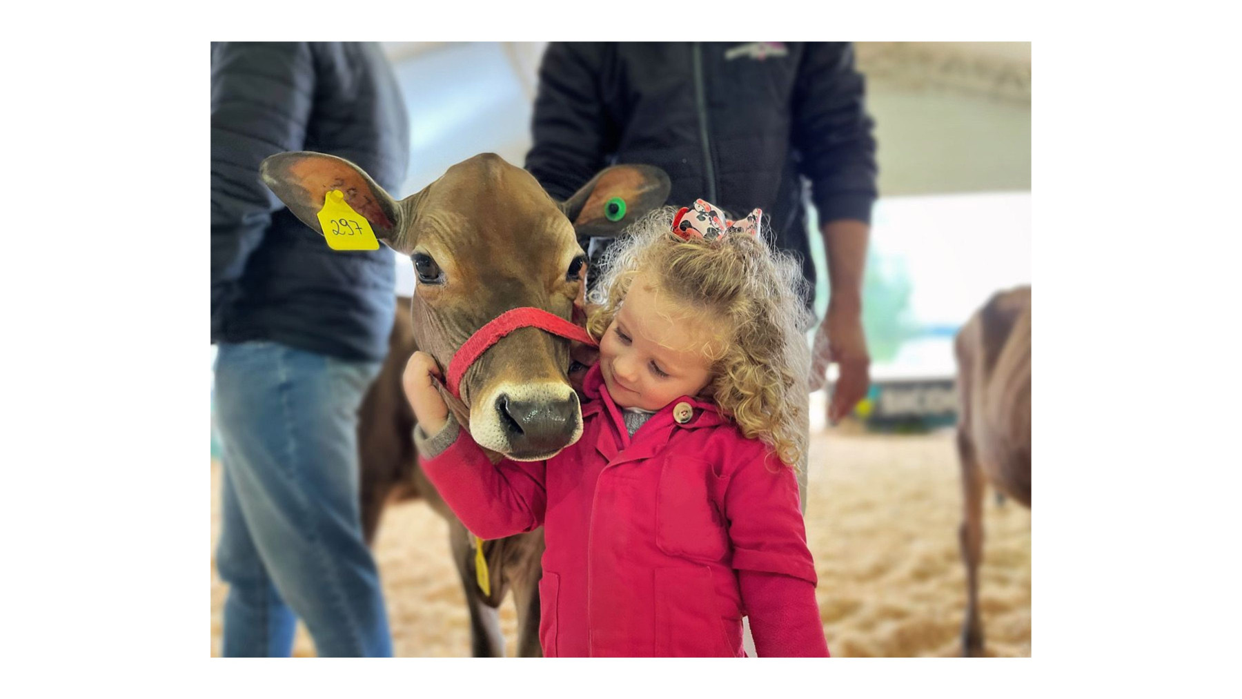 NotMilk: a lacração e o desrespeito com a memória afetiva de milhões