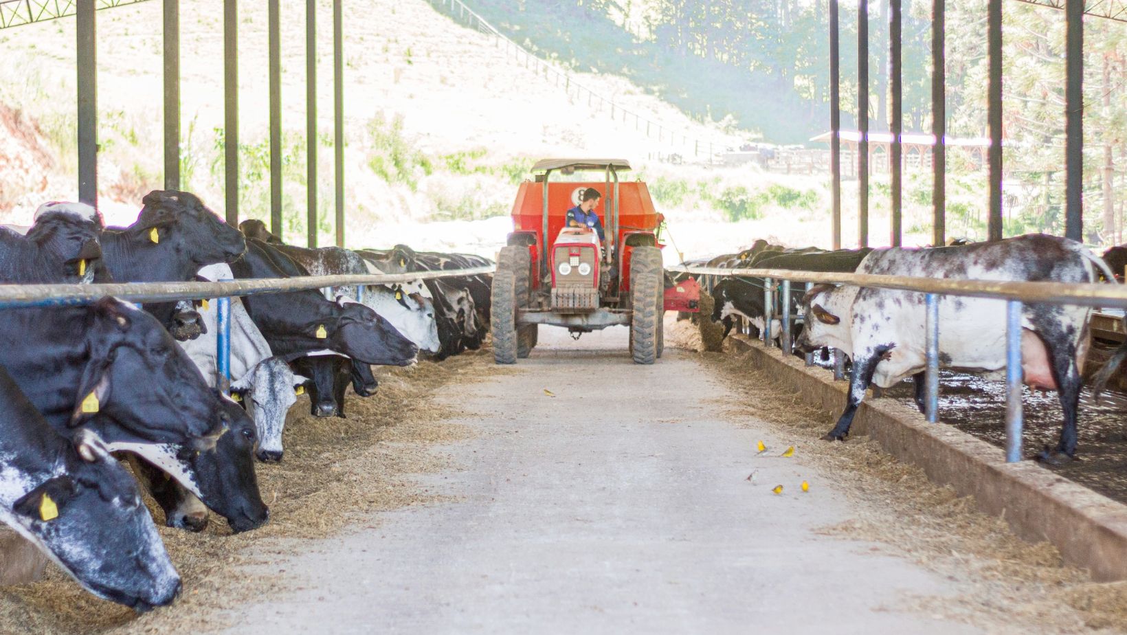 Agropecuaria Campos Lima - Fazenda ACL