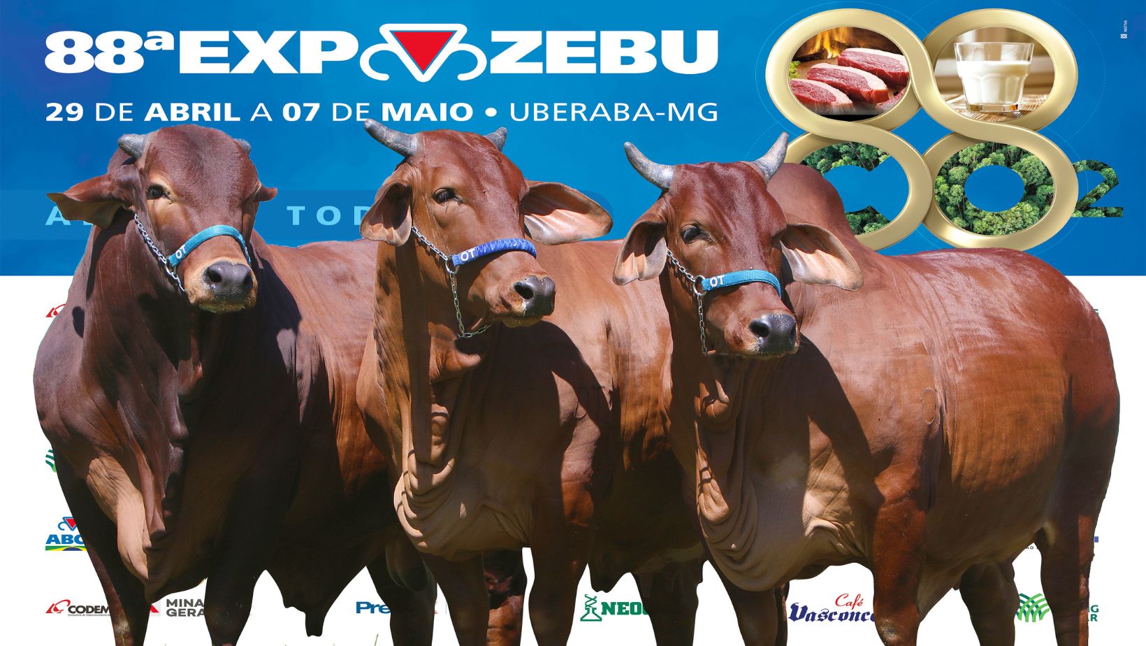 Campeao Progenie de Mae 2023 - Sindi OT