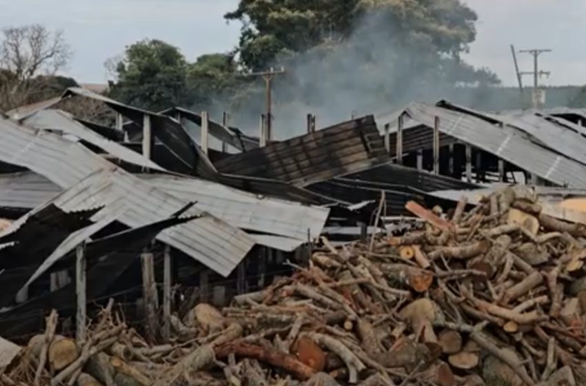 Aviário pega fogo no oeste do Paraná e 21 mil pintinhos morrem