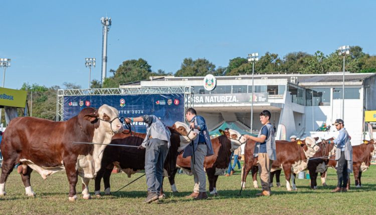 ABHB abre inscrições para participação de animais na 48ª Expointer