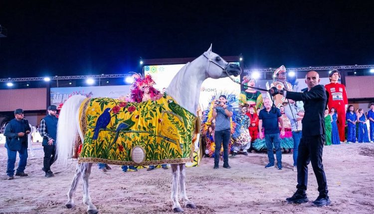 Cavalo do Haras Paiquerê vence etapa brasileira do Global Champions Arabians Tour