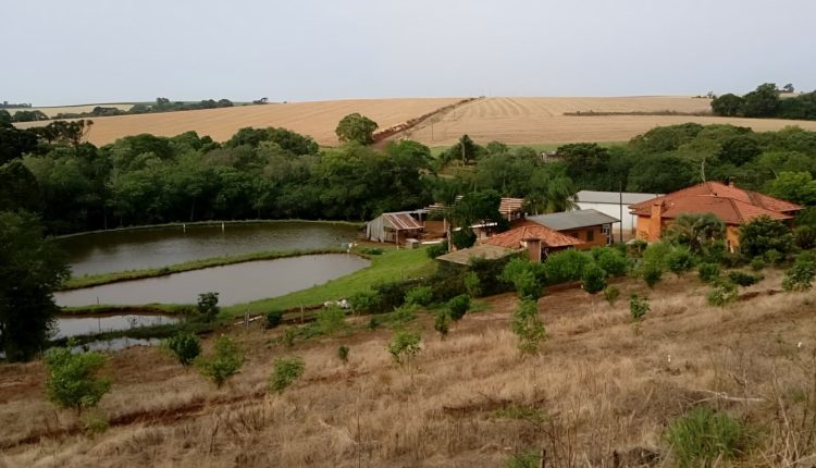 STF irá definir extensão da imunidade tributária e impactos nas holdings