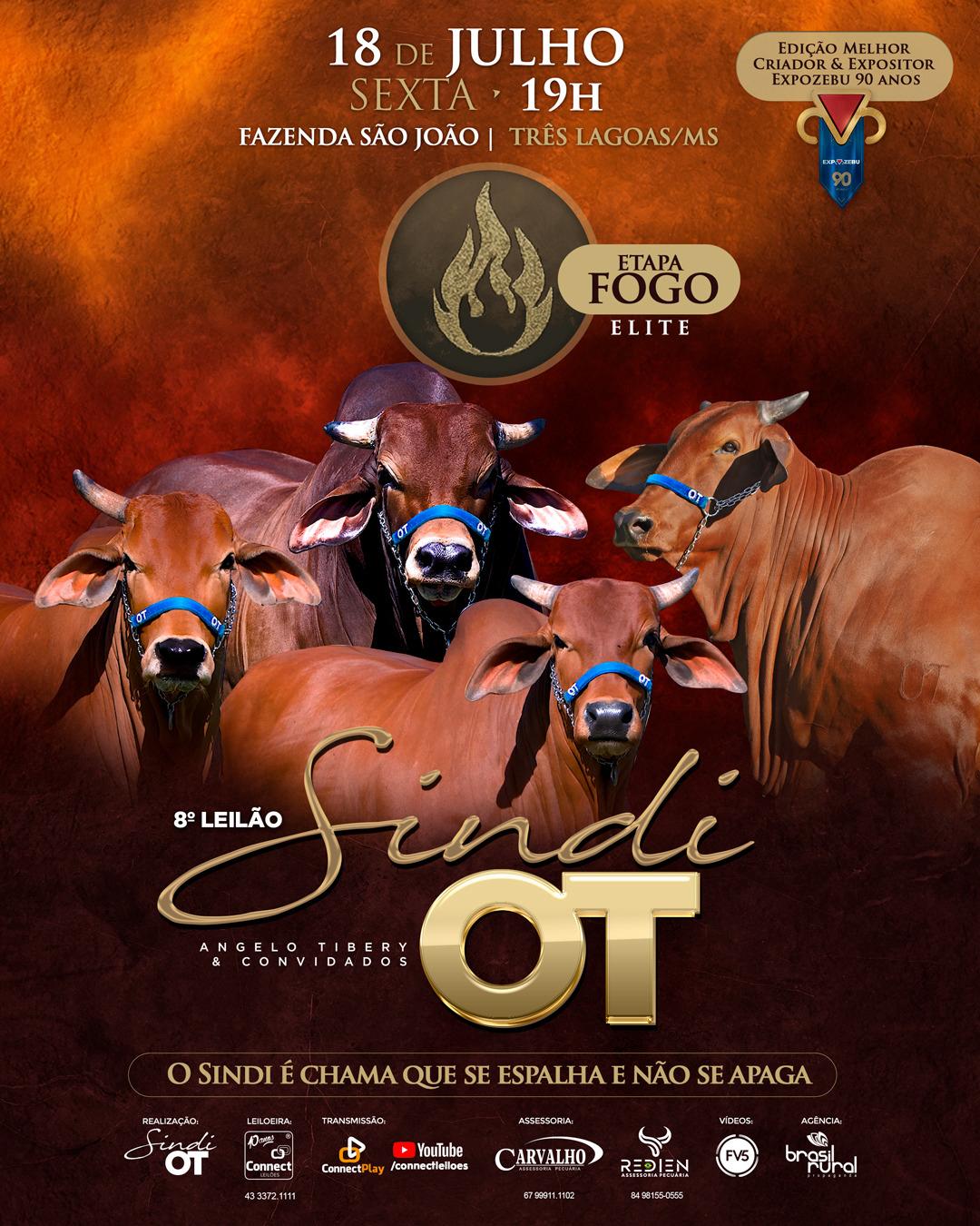 Leilao Sindi OT Convidados - melhores geneticas da raca Sindi