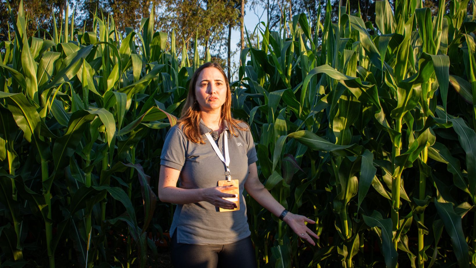 Luciane Balzan gerente de marketing UPL