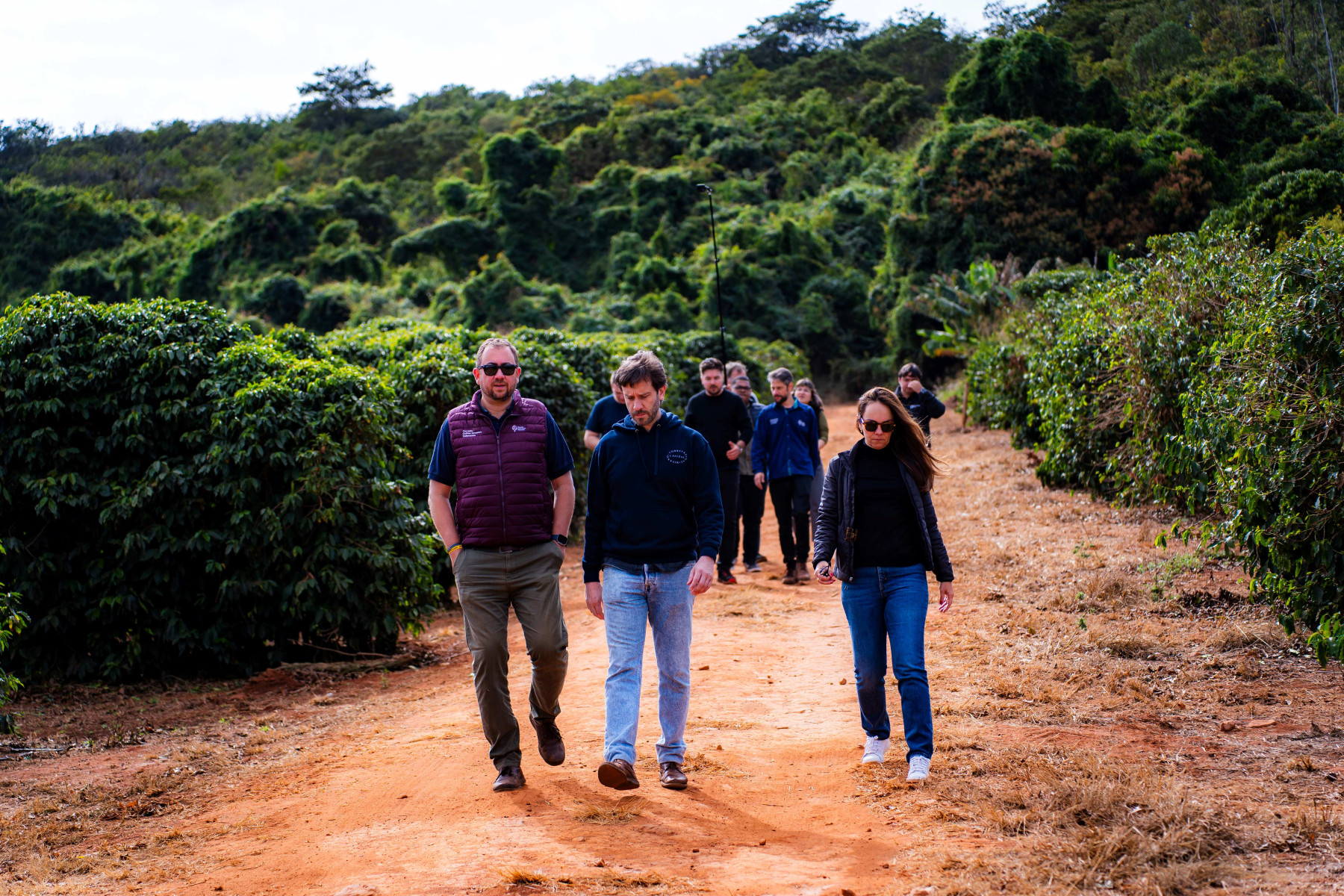 Trip Cafezal fortalece elo entre a Região do Cerrado Mineiro e a Europa por meio de parceria com premiada rede italiana de cafeterias