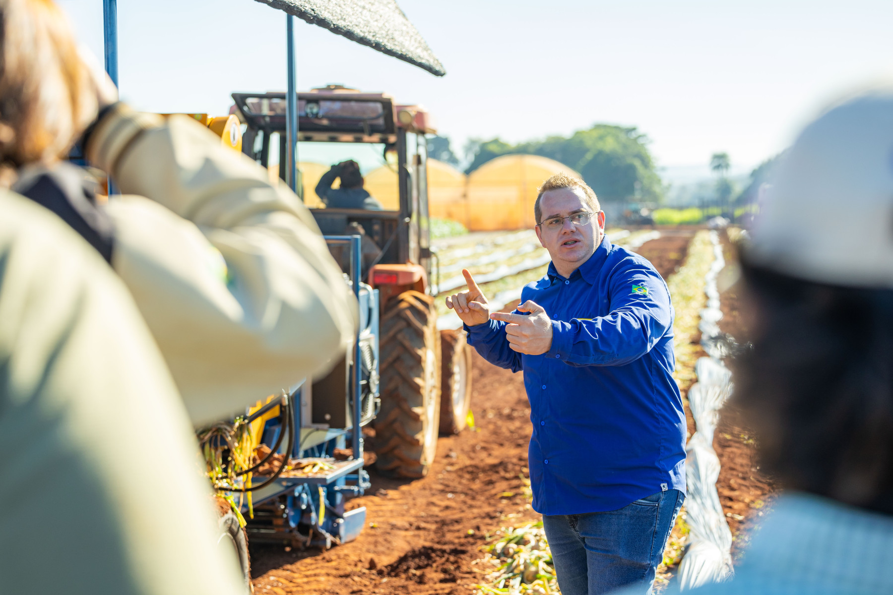 Tecnologia e eficiência impulsionam colheita mecanizada de cebola