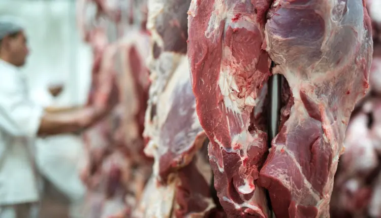 MT se consolida como potência global na venda de carne bovina, com 3% das exportações mundiais da proteína