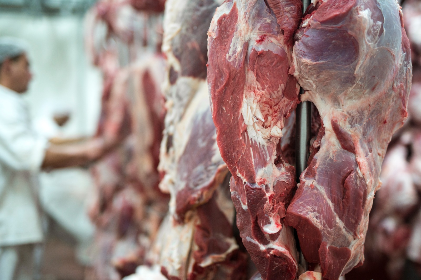 MT se consolida como potência global na venda de carne bovina, com 3% das exportações mundiais da proteína