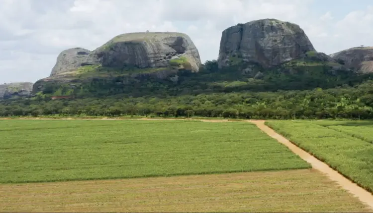 agricultura na Angola