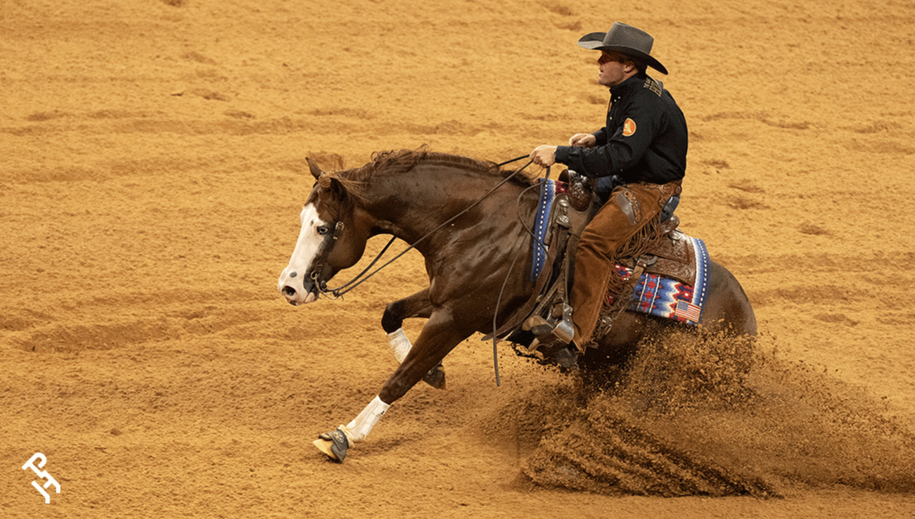 Cavalo de 8 anos, filho de Gunner, é o primeiro a ganhar US$ 1 milhão na Rédeas no mundo