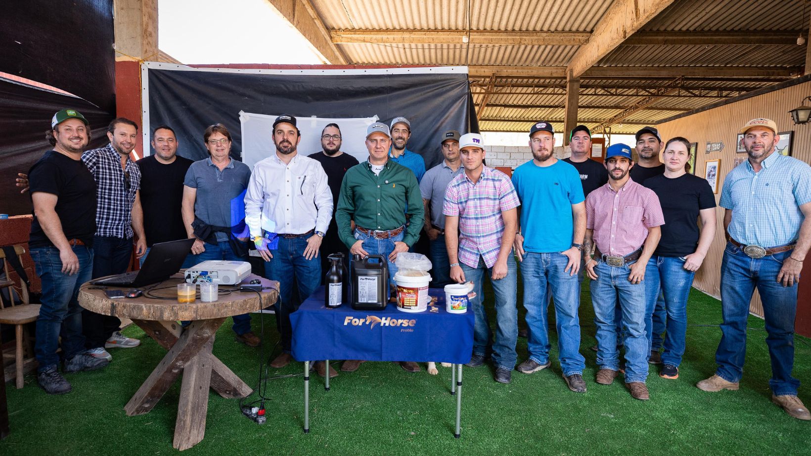 bate-papo sobre bem-estar animal dos cavalos - for horse