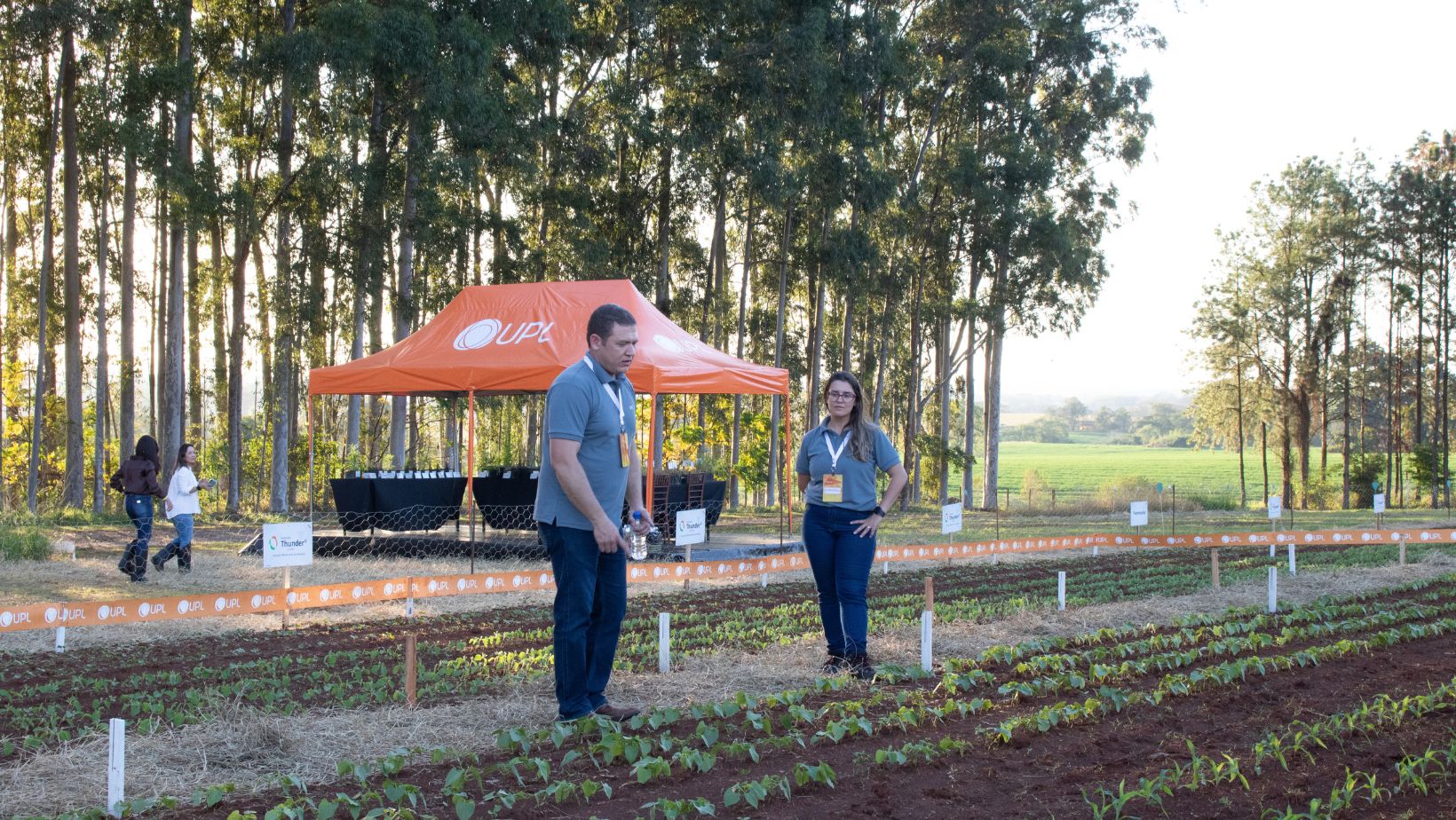 campos de pesquisa da UPL