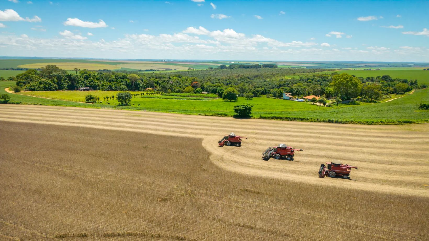 colheita-da-soja-com-fazenda-ao-fundo-fotao 2