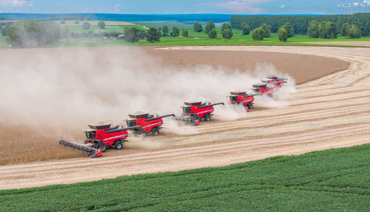 colheitadeiras na safra - colhendo soja - Massey Ferguson