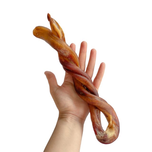 Você sabe o que é o vergalho no boi?Pênis do boi