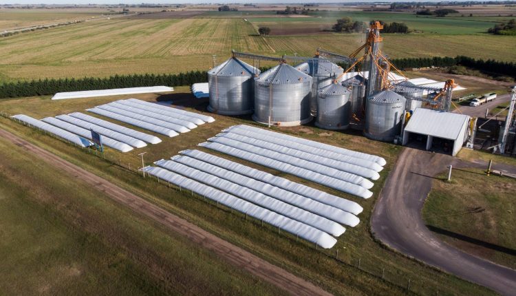 Produtor rural busca alternativas para armazenar safra diante de gargalo logístico