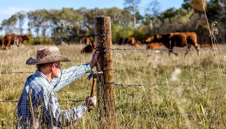 Quais os principais tipos cerca utilizados na pecuária?