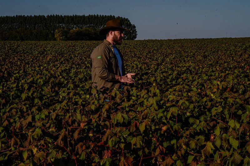 Primo Rico aposta no Agro em parceria com a Girasol Agrícola