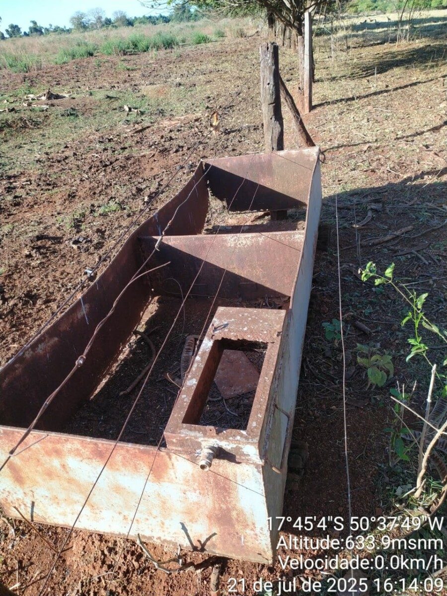 Cerca de 80 cabeças de gado foram encontradas mortas em uma fazenda