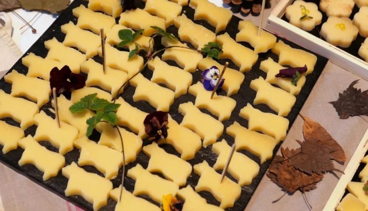 Cunha vira capital do queijo com o 1º Prêmio Sudeste — e Jersey Brasil rouba a cena