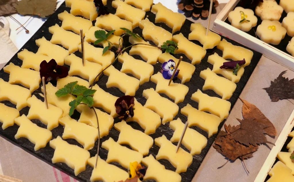 Cunha vira capital do queijo com o 1º Prêmio Sudeste — e Jersey Brasil rouba a cena