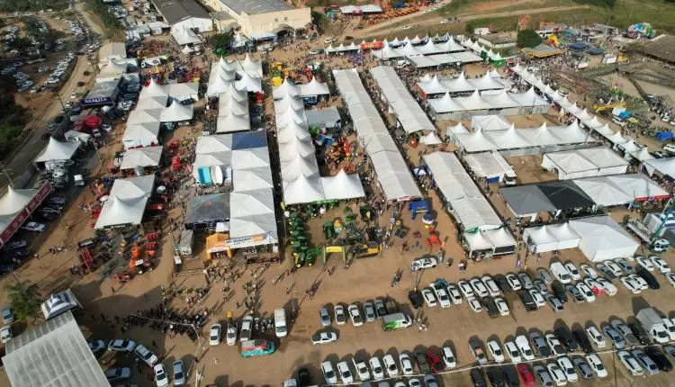 FEAGRO 2025: O Palco da excelência da raça Jersey na Capital Nacional do Leite