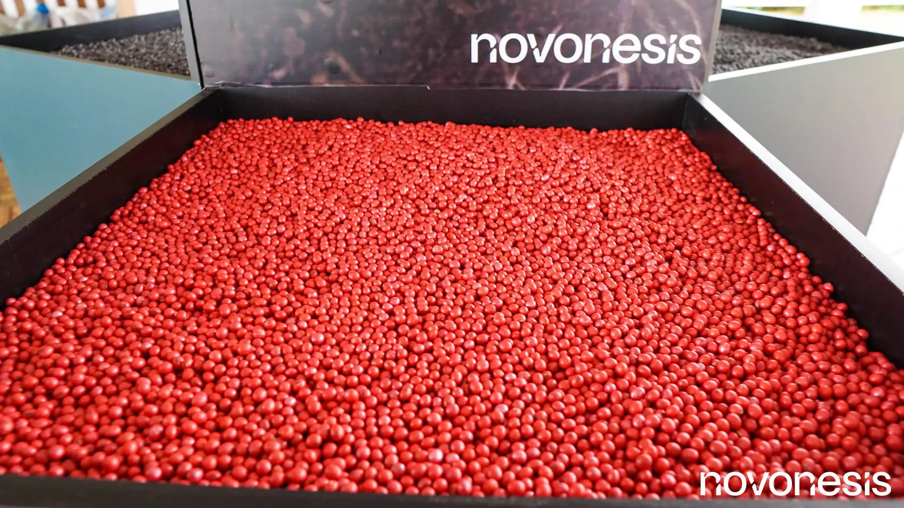 Utilização de biológicos no tratamento industrial de sementes
