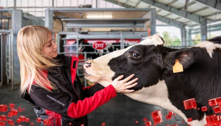 Lely apresenta inovações em ordenha robotizada durante o Future Farm Days na Holanda