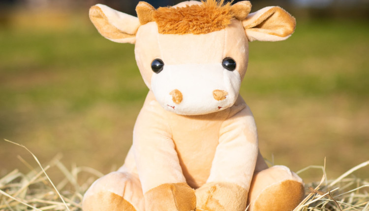 Jessy: mais do que uma mascote, o símbolo de um futuro com raízes no campo