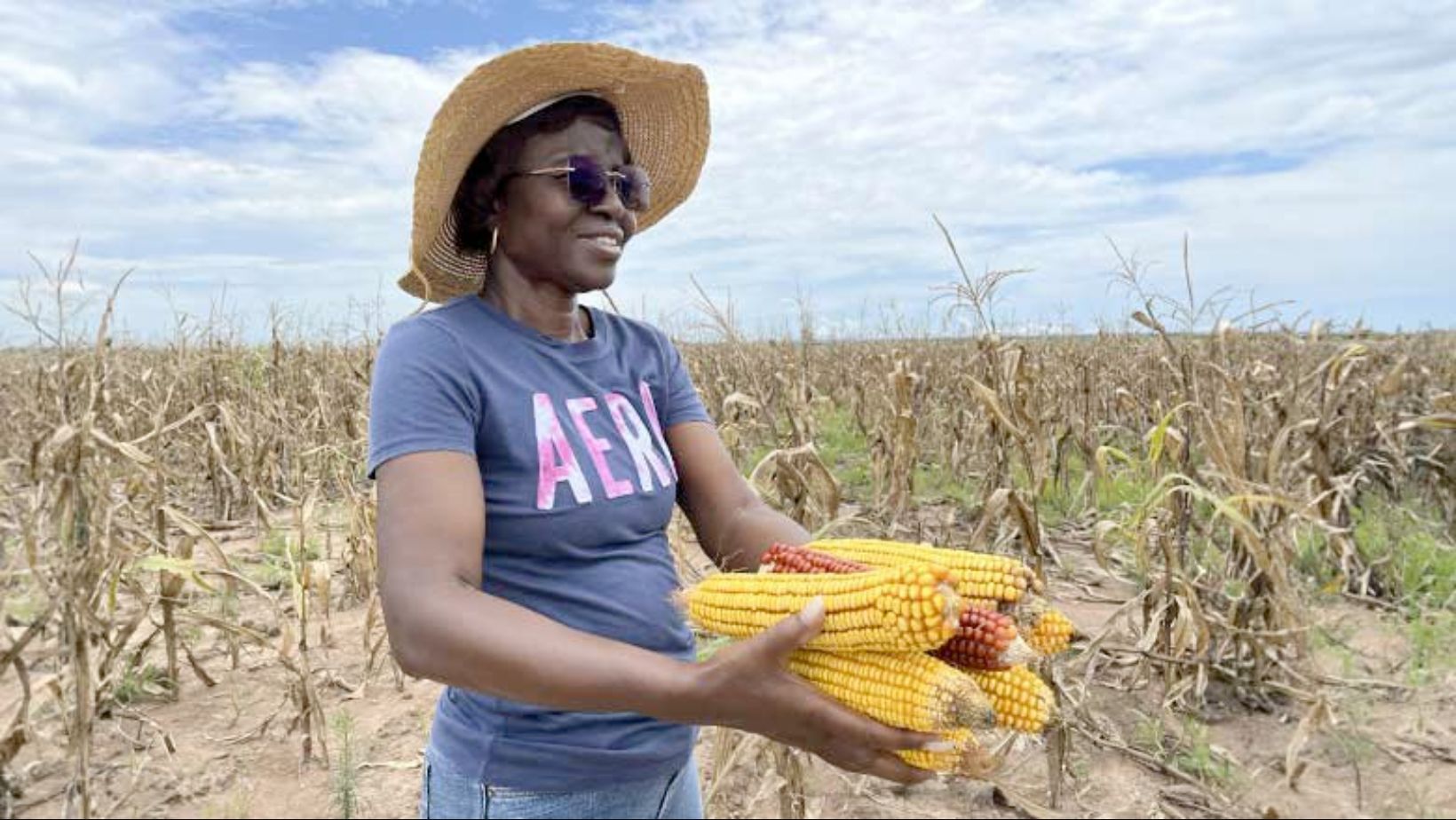 producao de milho na angola