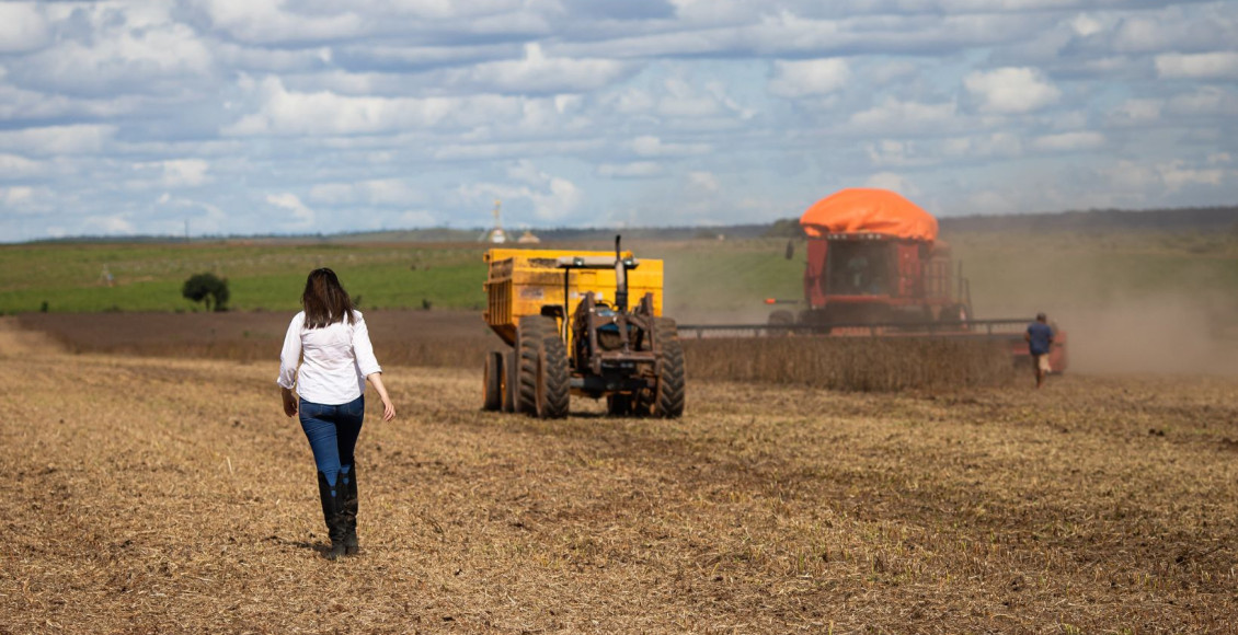 produtora rural mulher na colheita da soja - fotao