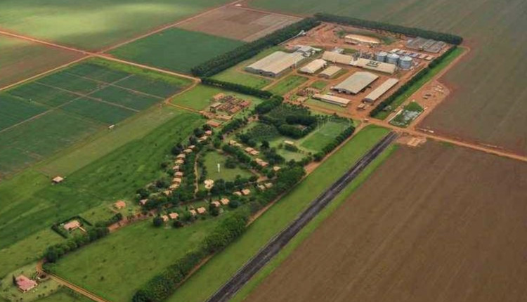 slc agricola